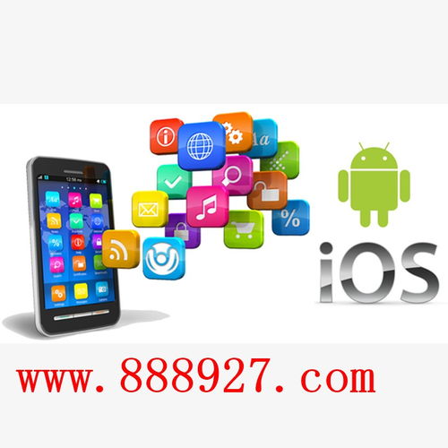 深圳坑梓app軟件開(kāi)發(fā)制作團(tuán)隊(duì)