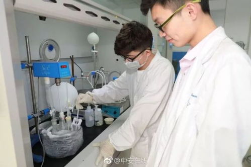 全國(guó)超80%光纖依賴(lài)的背后 電子專(zhuān)用材料研發(fā)的隱形冠軍